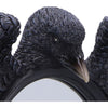Nevermore Reflection