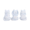 Three Wise Wolf Pups