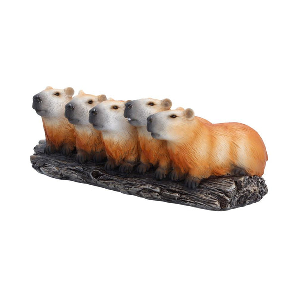 Capybara Herd