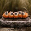 Capybara Herd