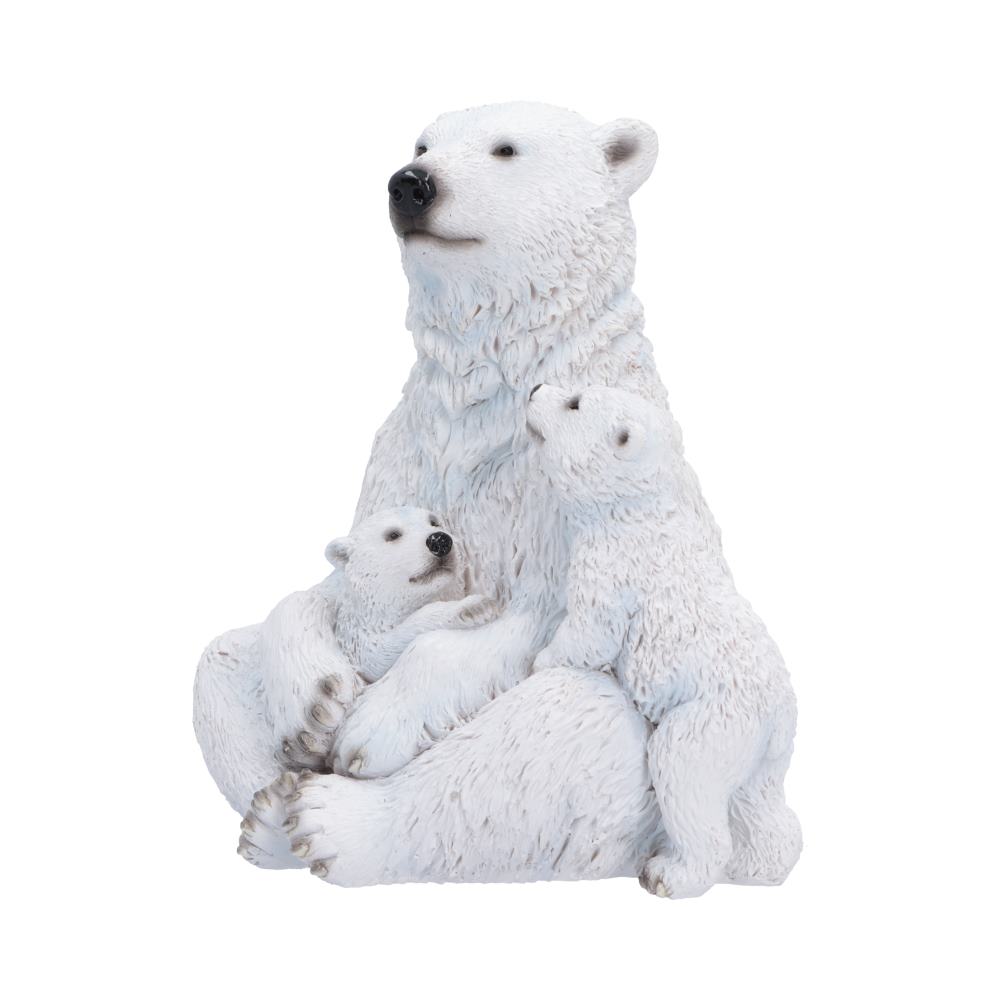 Polar Protection