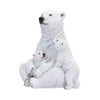 Polar Protection