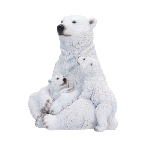 Polar Protection