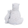 Polar Protection
