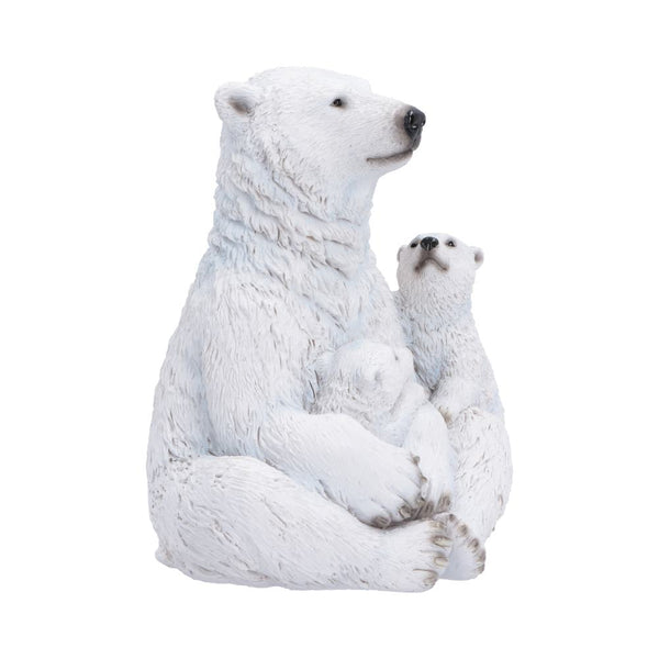 Polar Protection
