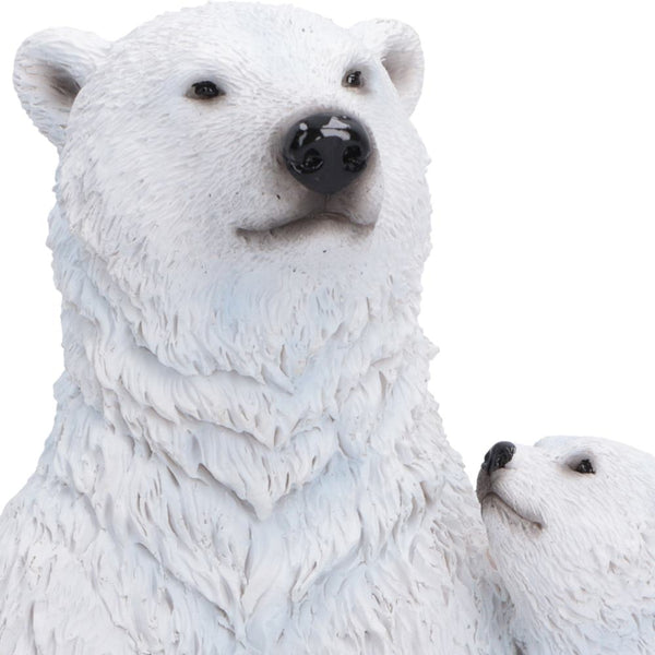Polar Protection