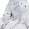 Polar Protection