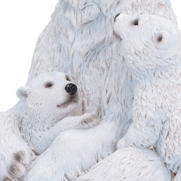 Polar Protection