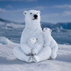 Polar Protection