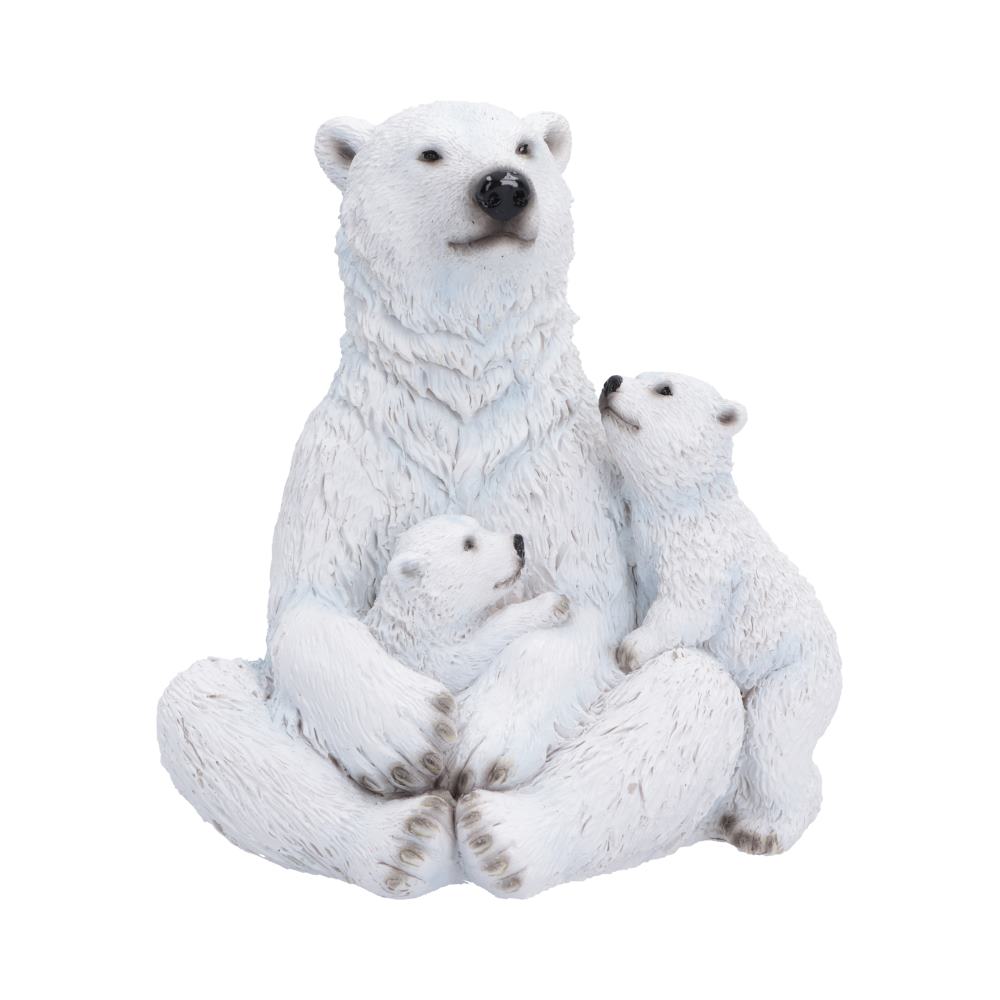 Polar Protection