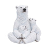 Polar Protection