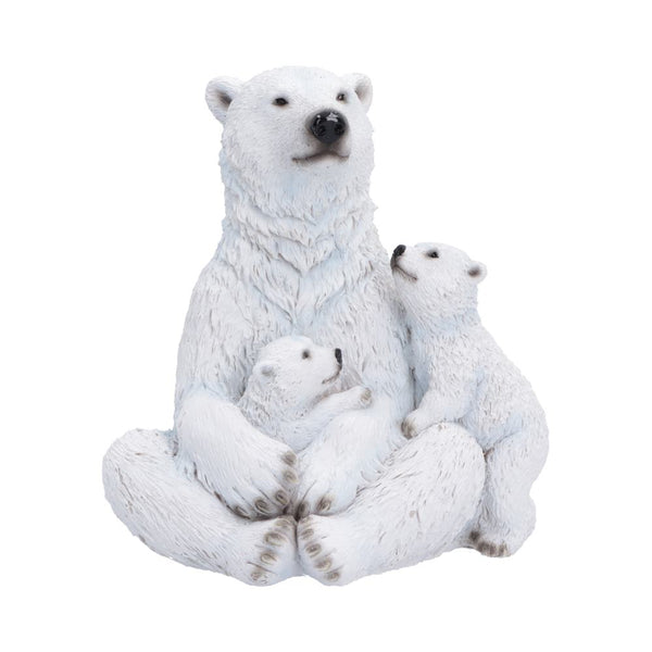 Polar Protection