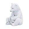 Polar Bond