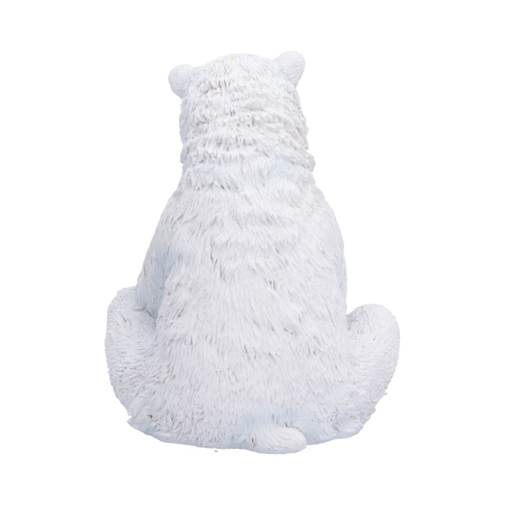 Polar Bond
