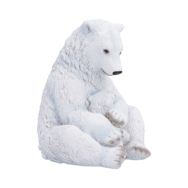 Polar Bond