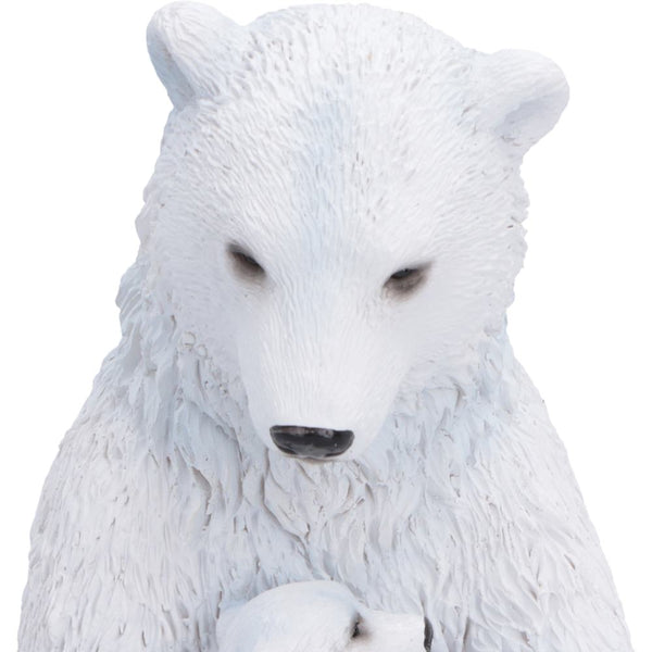 Polar Bond