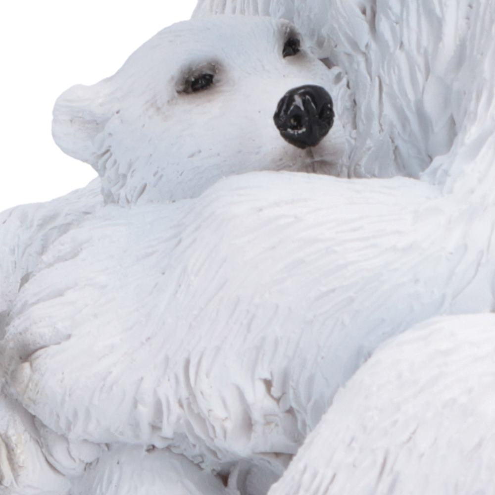 Polar Bond
