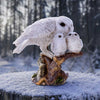 Nest of Love