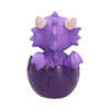 Shellbound Purple