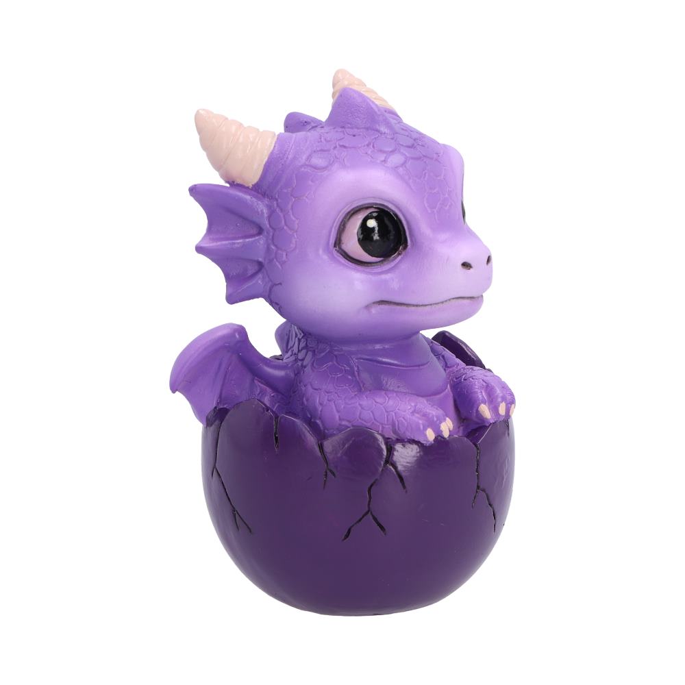 Shellbound Purple
