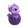 Shellbound Purple
