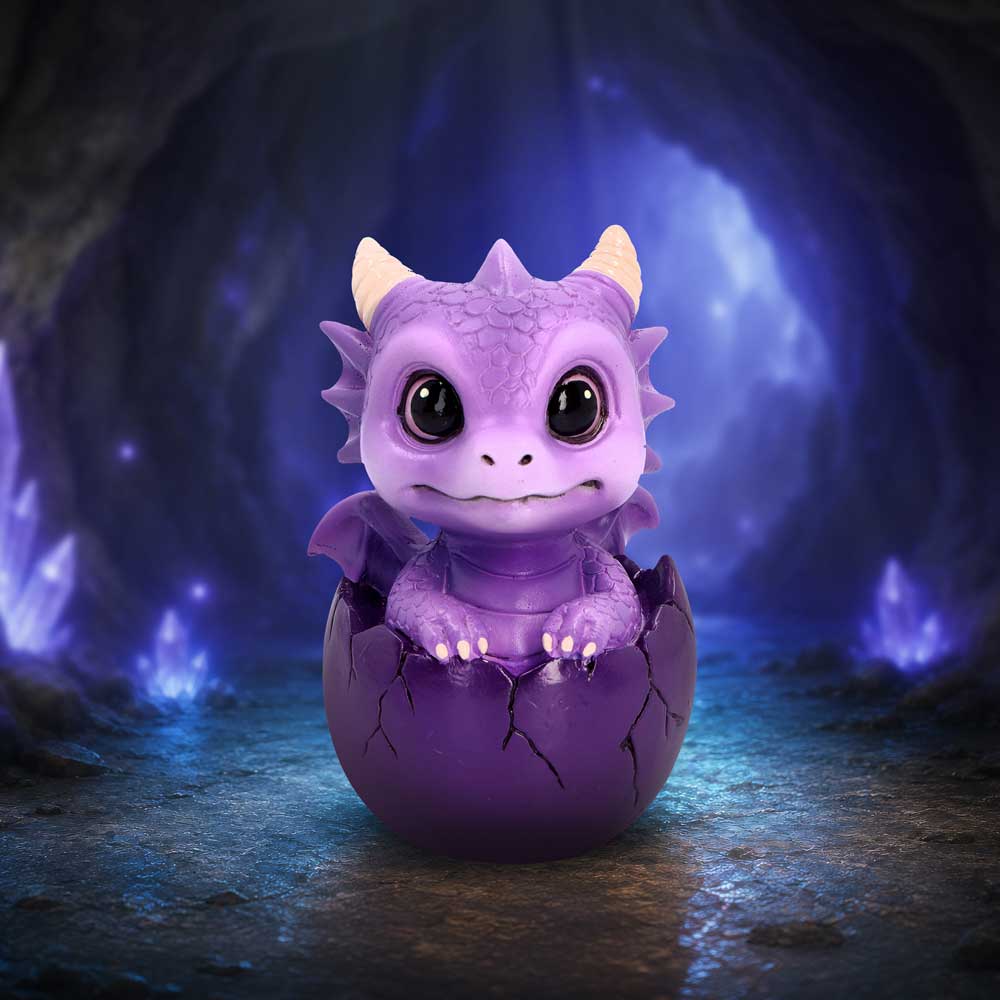 Shellbound Purple