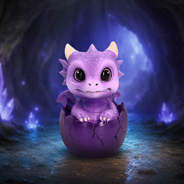 Shellbound Purple