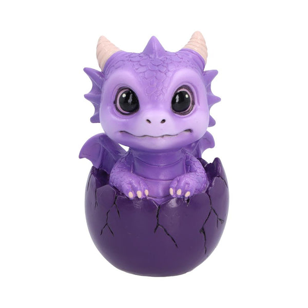 Shellbound Purple