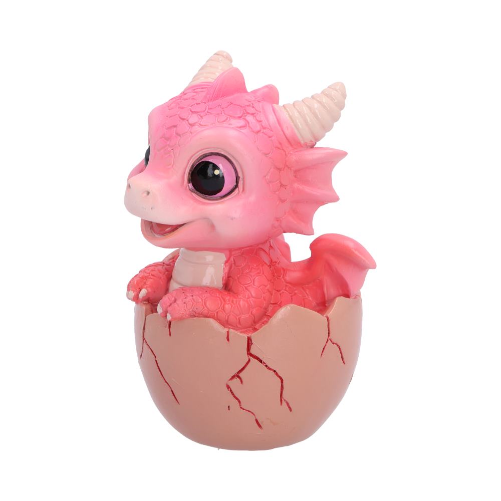 Shellbound Pink
