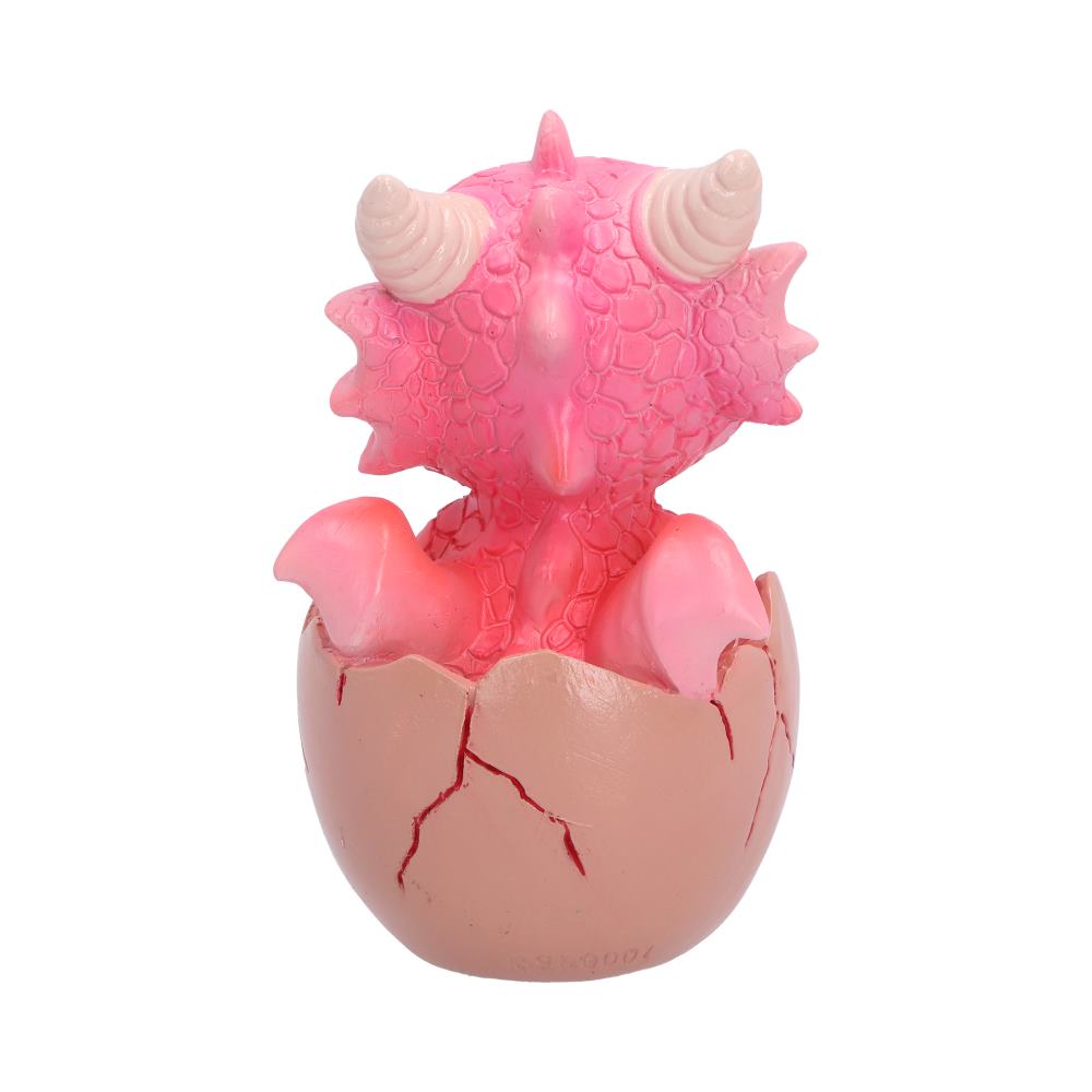 Shellbound Pink