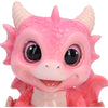 Shellbound Pink
