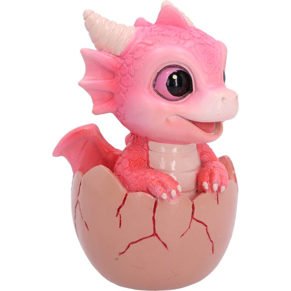 Shellbound Pink