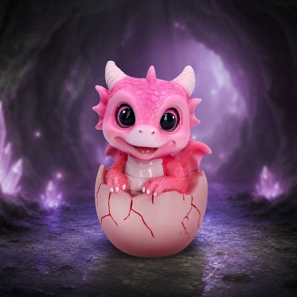 Shellbound Pink