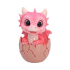Shellbound Pink