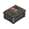 Voodoo Treasure Box