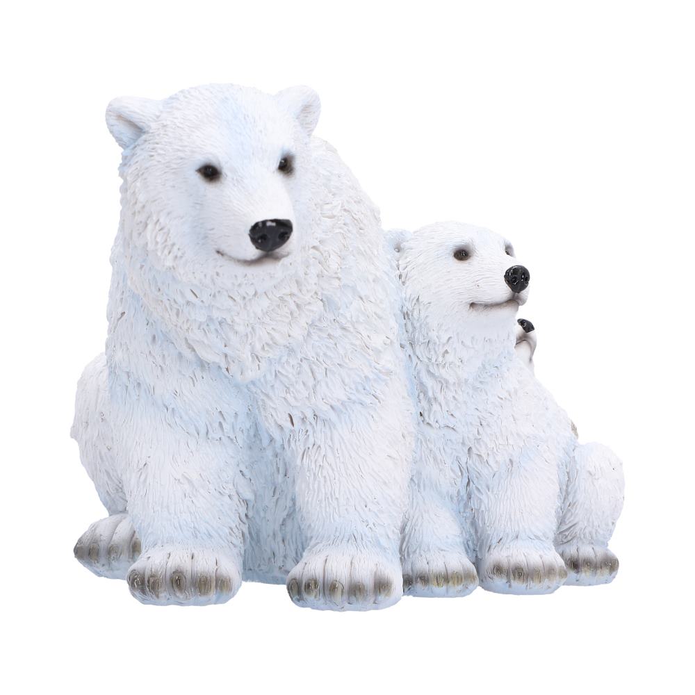 Polar Family