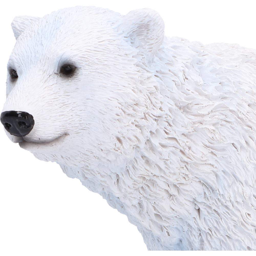 Polar Family