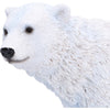 Polar Family