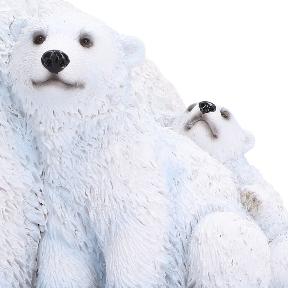 Polar Family