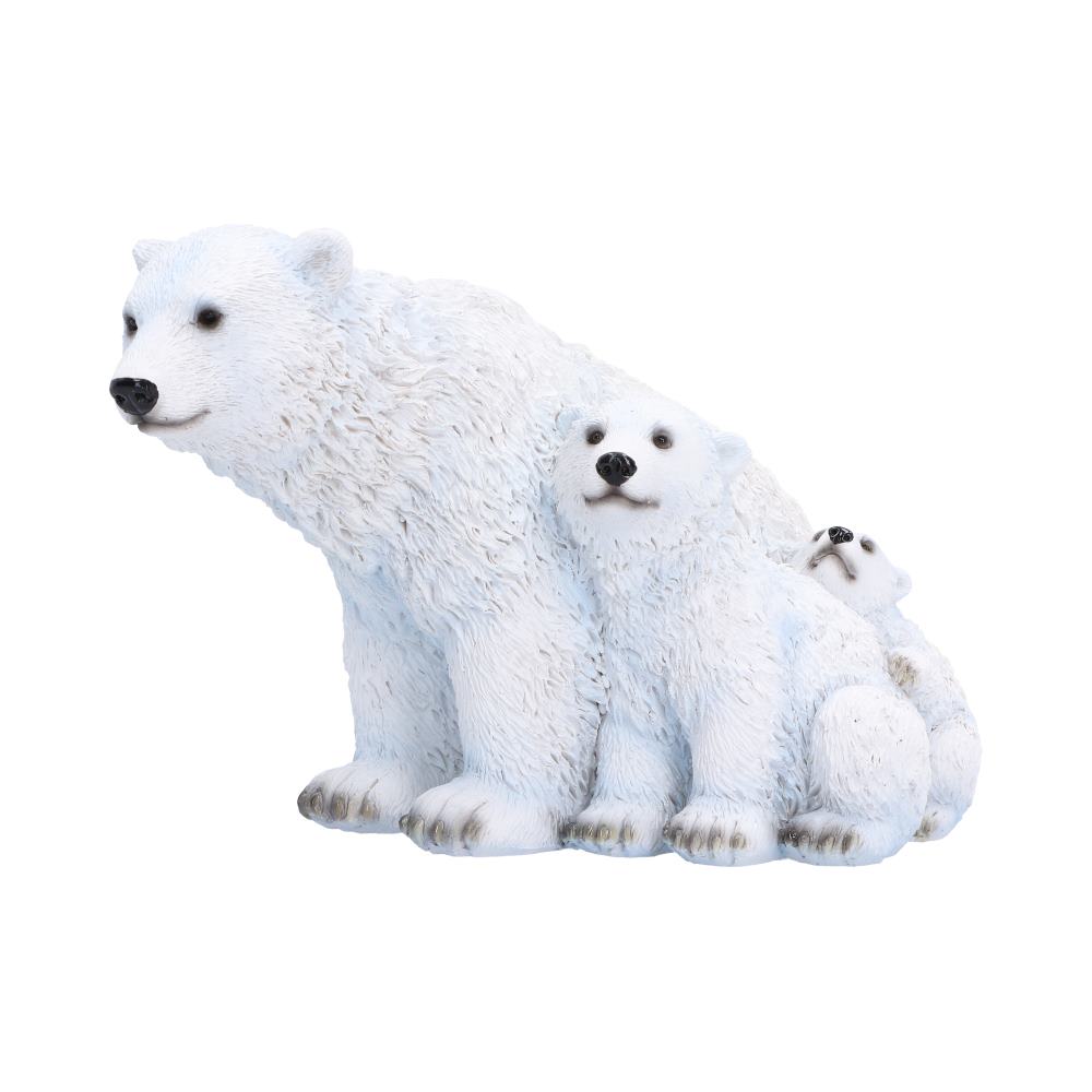 Polar Family