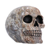 Marble Remains