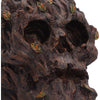 Deadwood