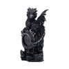 Shadow Sentinel