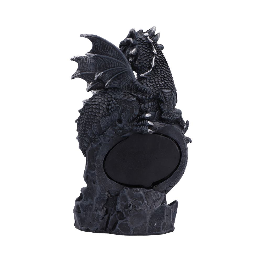 Shadow Sentinel