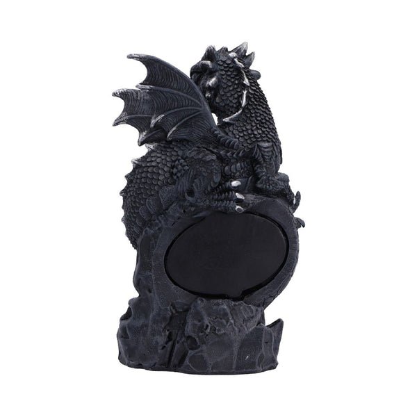 Shadow Sentinel