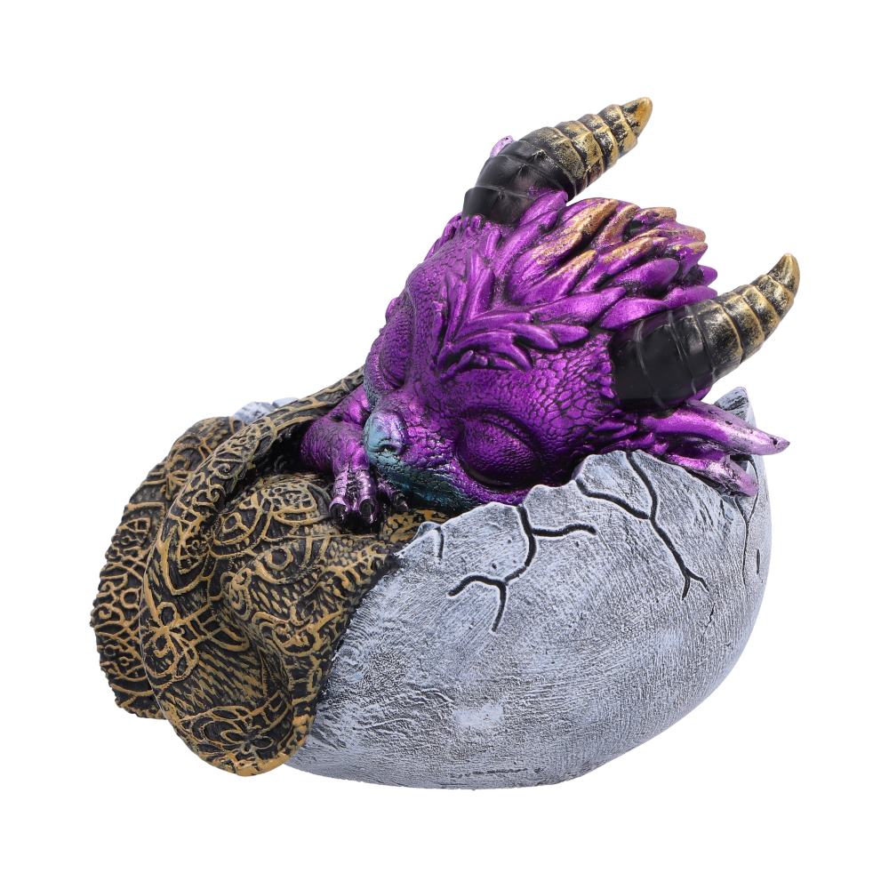 Shellbound Slumber
