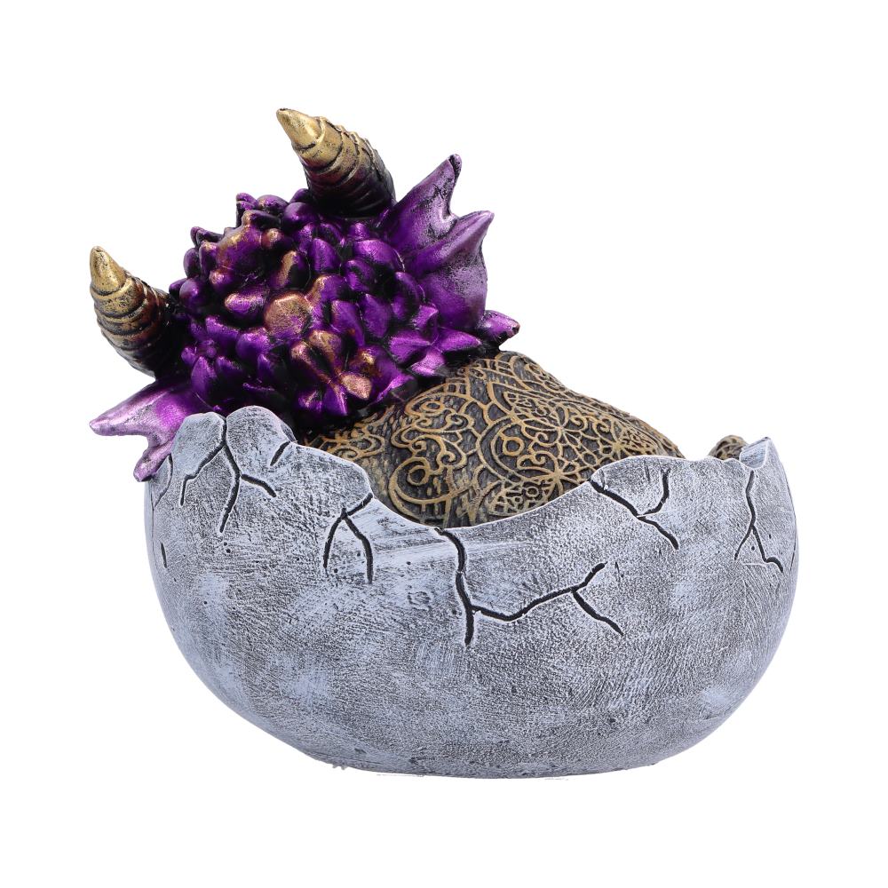 Shellbound Slumber
