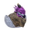 Shellbound Slumber