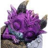 Shellbound Slumber