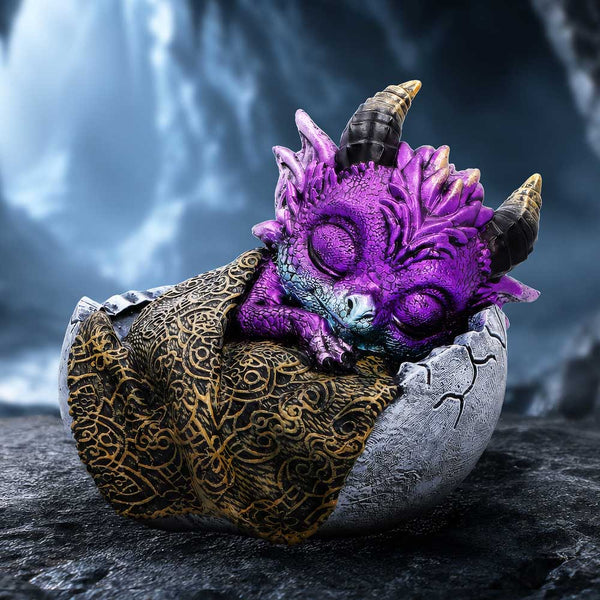 Shellbound Slumber